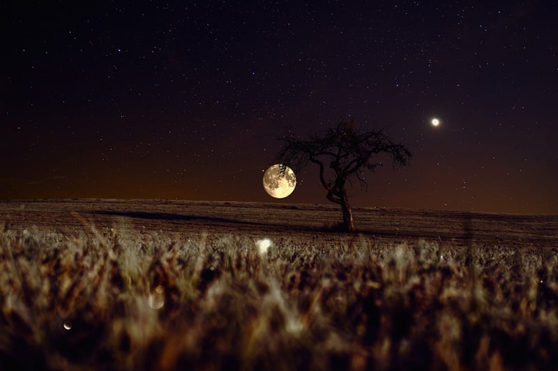 Moon Phase Decor