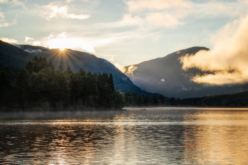 Sunrise Veil